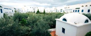 Diar Lemdina — Hammamet — photo 2